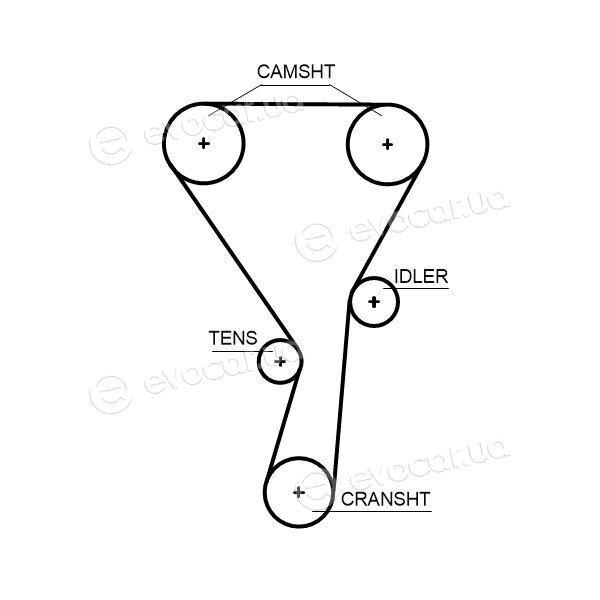 Gates K025699XS