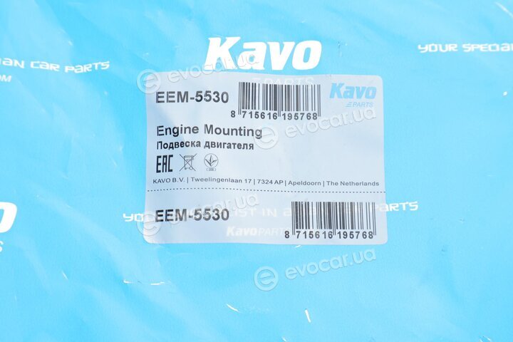 Kavo EEM-5530