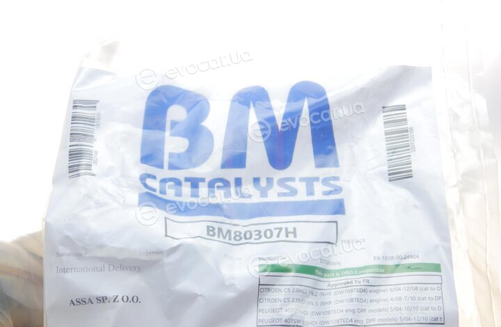 BM Catalysts BM80307H