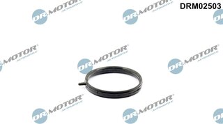 Dr. Motor DRM02503