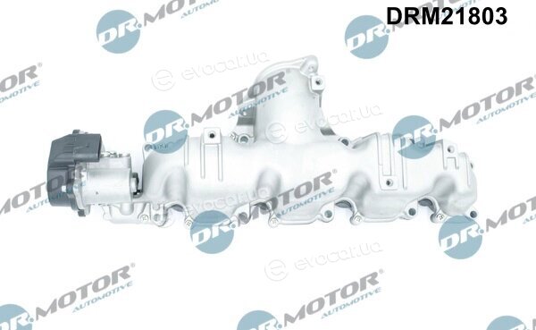 Dr. Motor DRM21803