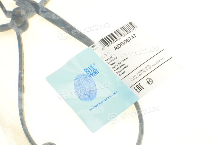 Blue Print ADG06747