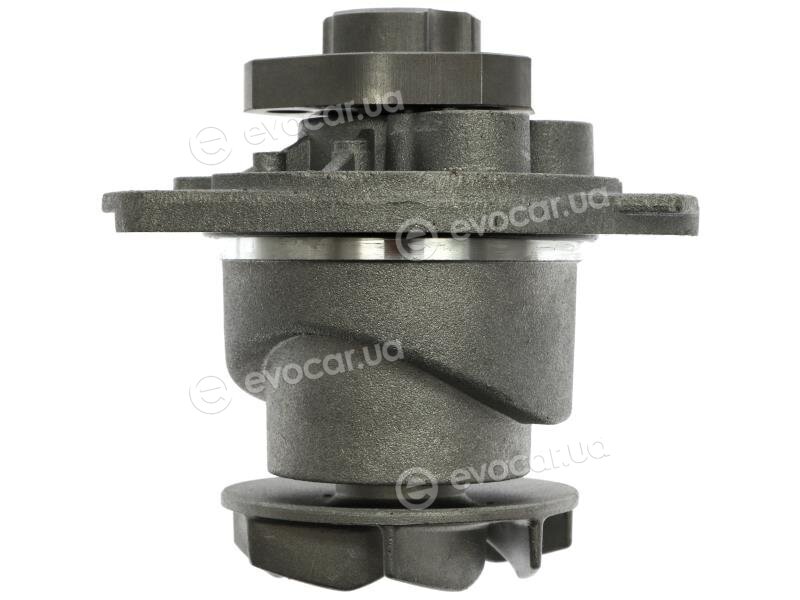 Starline VP V137