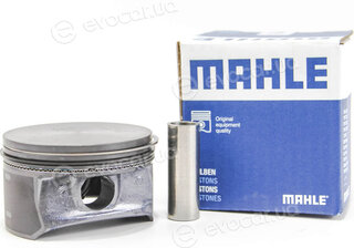 Mahle 012 21 02