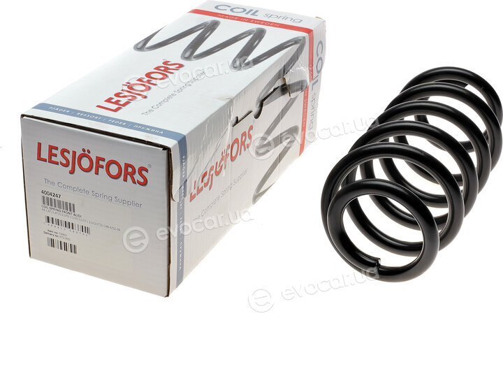 Lesjofors 4004247