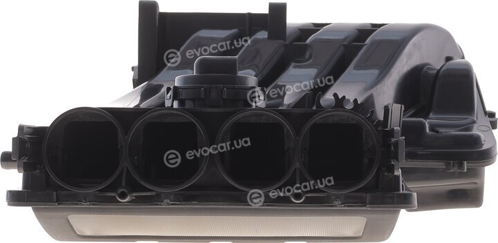Solgy 114302