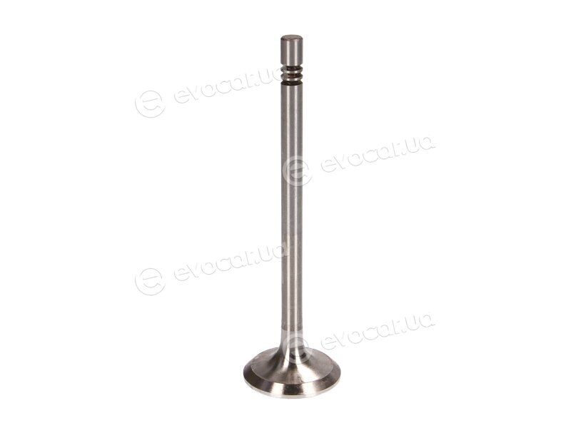 Freccia R6198/BM