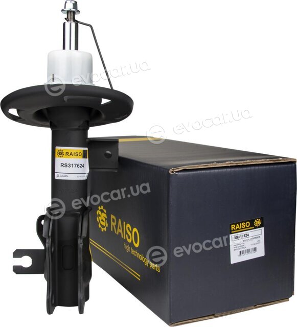 Raiso RS317624