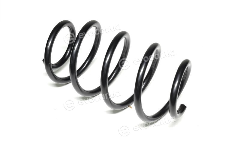 Lesjofors 4208448
