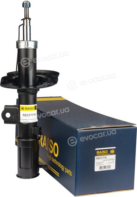 Raiso RS317718