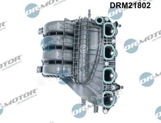 Dr. Motor DRM21802