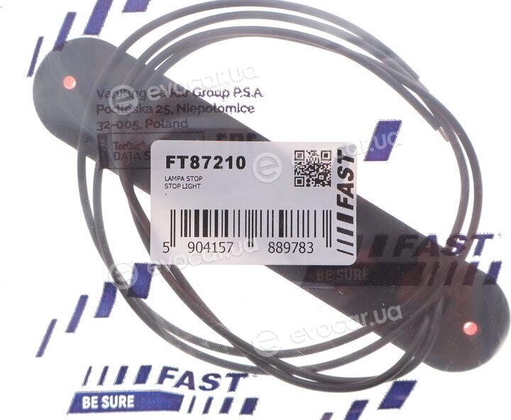 Fast FT87210