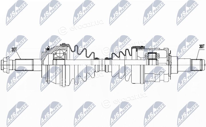 NTY NPW-TY-081