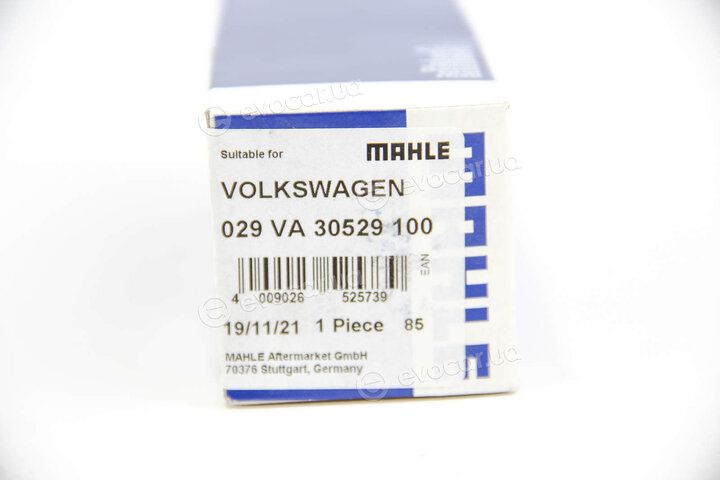 Mahle 029 VA 30529 100