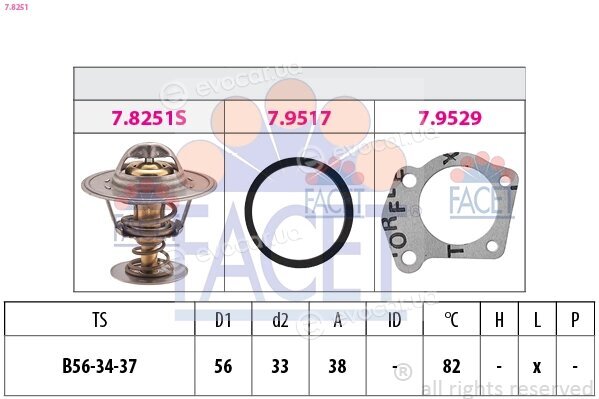 Facet 7.8251