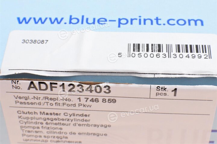 Blue Print ADF123403