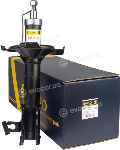Raiso RS313489