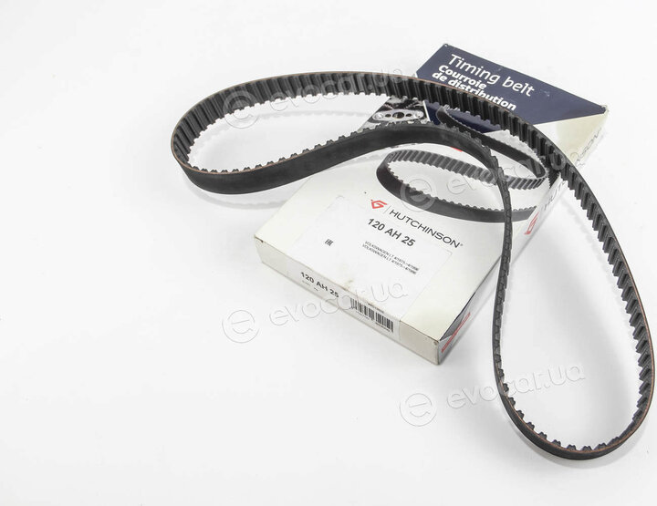 Hutchinson 120 AH 25