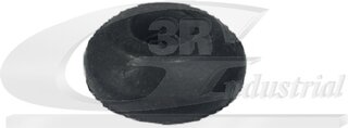 3RG 21732