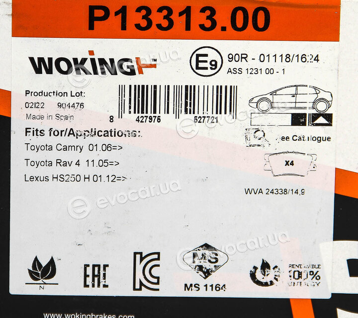 Woking P13313.00