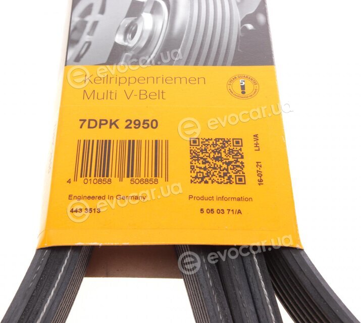 Continental 7DPK2950