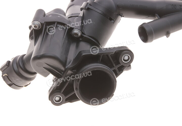 Hepu TM1029