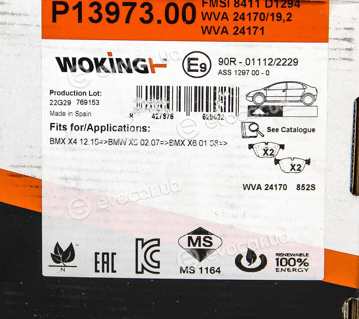 Woking P13973.00