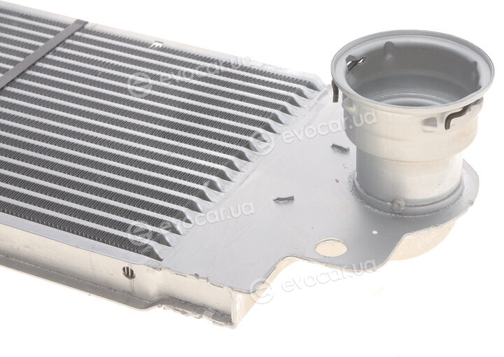 Van Wezel 58004233