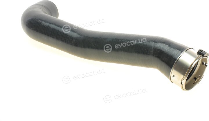 Solgy 114210