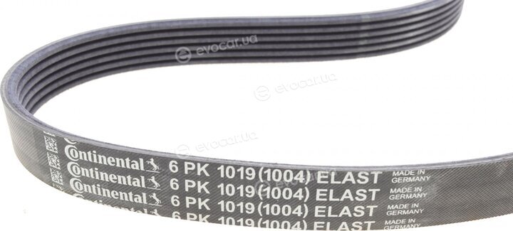 Continental 6PK1019 ELAST T1