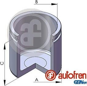 Autofren D02555