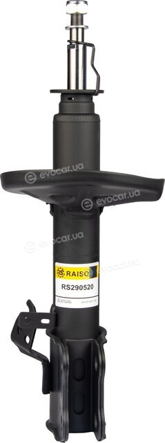 Raiso RS290520