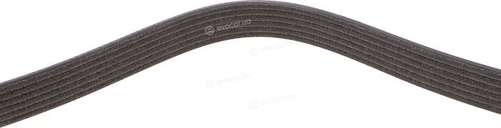 Dayco 6PK1026S