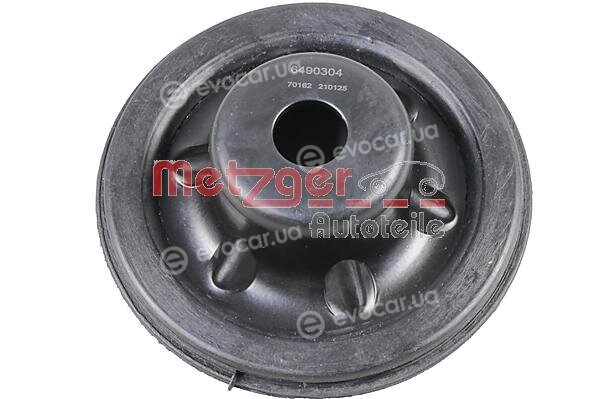 Metzger 6490304