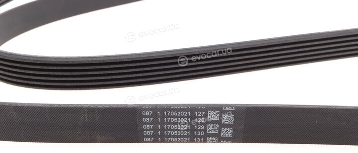 Continental 6PK2315