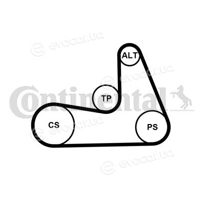 Continental 5PK1121 EXTRA K1