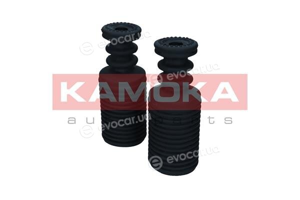 Kamoka 2019167