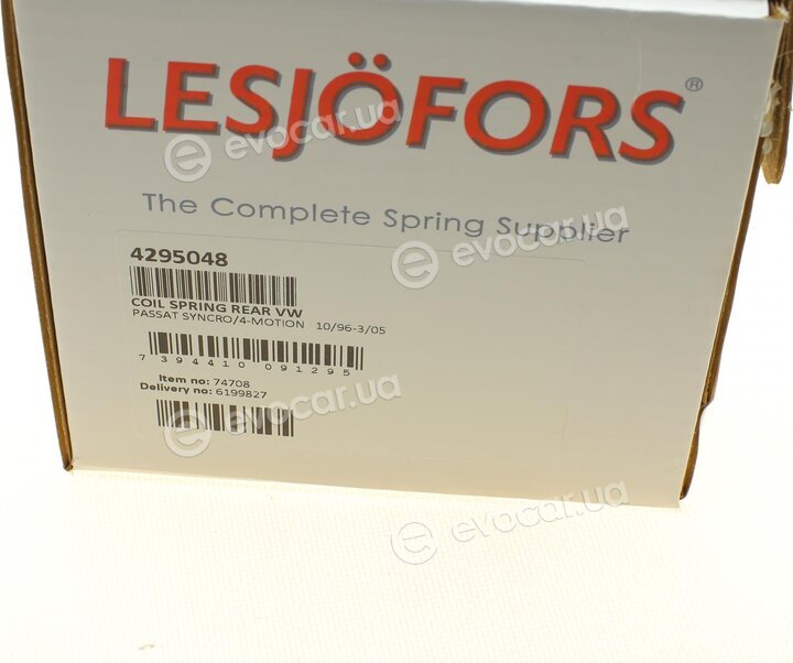 Lesjofors 4295048