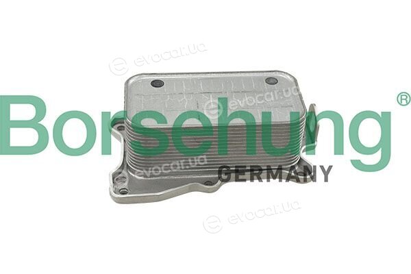 Borsehung B10887