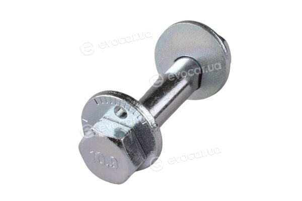 Tedgum 31587