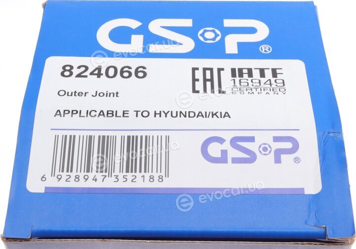 GSP 824066