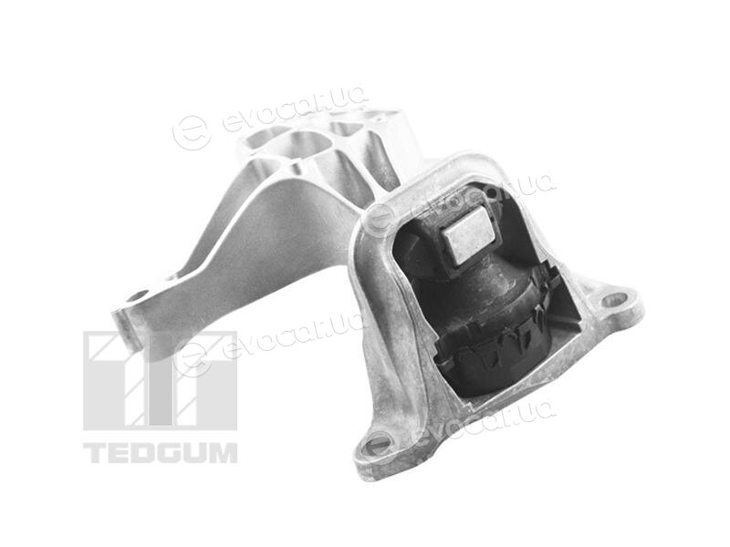 Tedgum TED37615