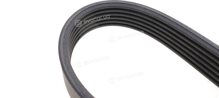 Continental 6PK1033K1
