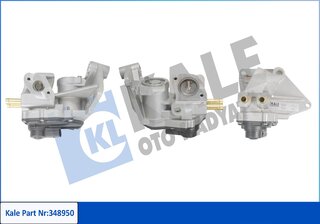 Kale 348950