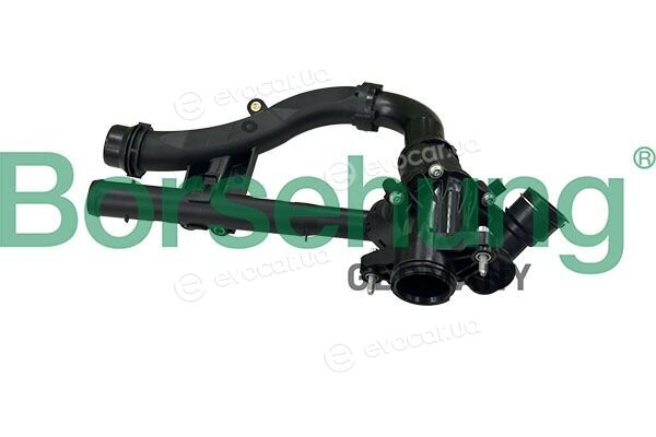 Borsehung B10567
