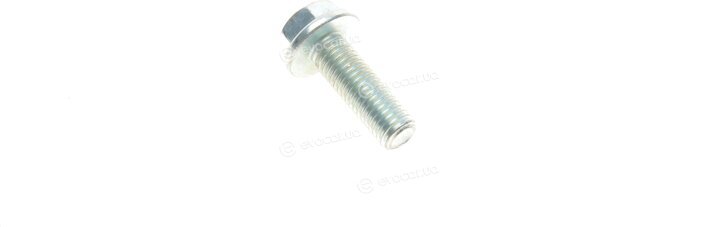 Solgy 203096