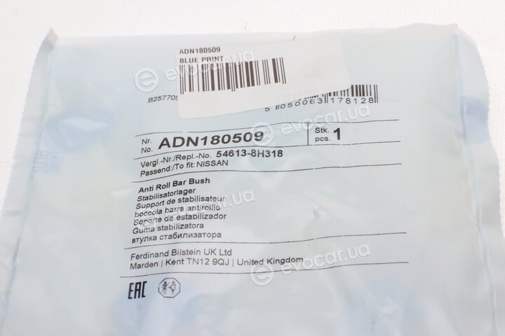 Blue Print ADN180509