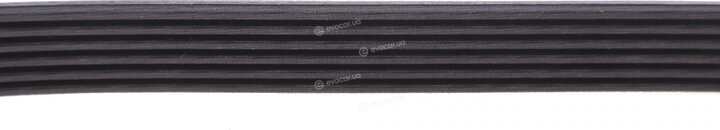 Dayco 6PK875