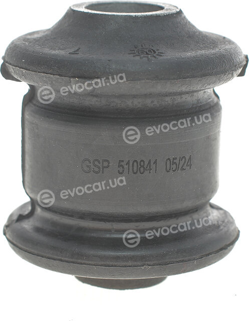 GSP 510841
