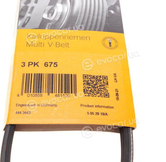 Continental 3PK675